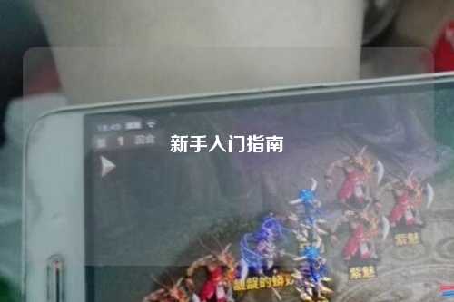 新手入门指南