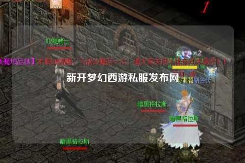 新开梦幻西游私服发布网