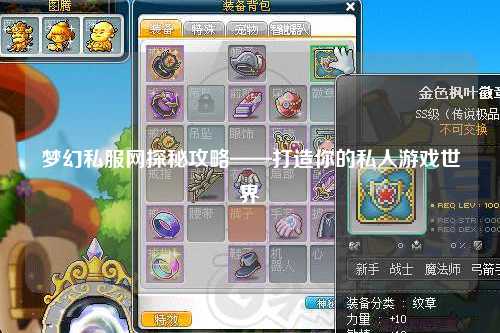 梦幻私服网探秘攻略——打造你的私人游戏世界
