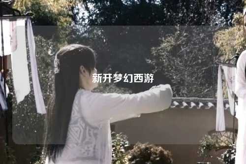 新开梦幻西游