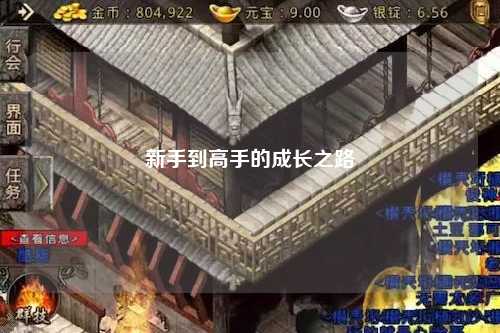 新手到高手的成长之路