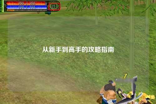 从新手到高手的攻略指南