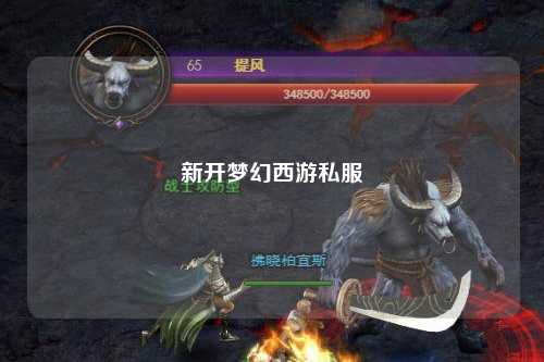 新开梦幻西游私服