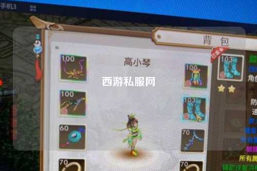 西游私服网