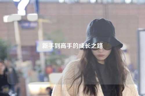 新手到高手的成长之路