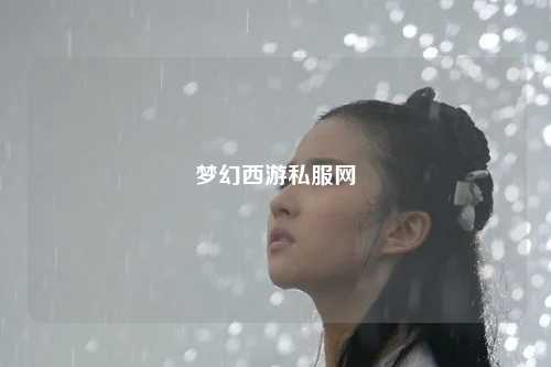 梦幻西游私服网