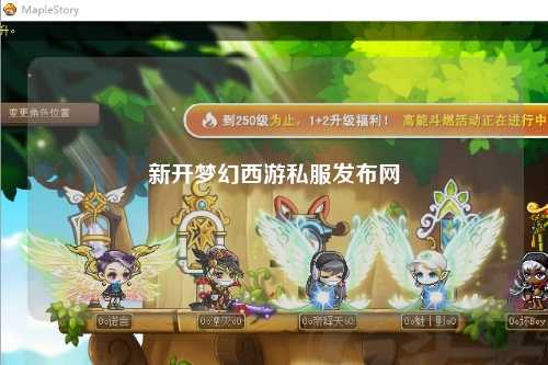 新开梦幻西游私服发布网